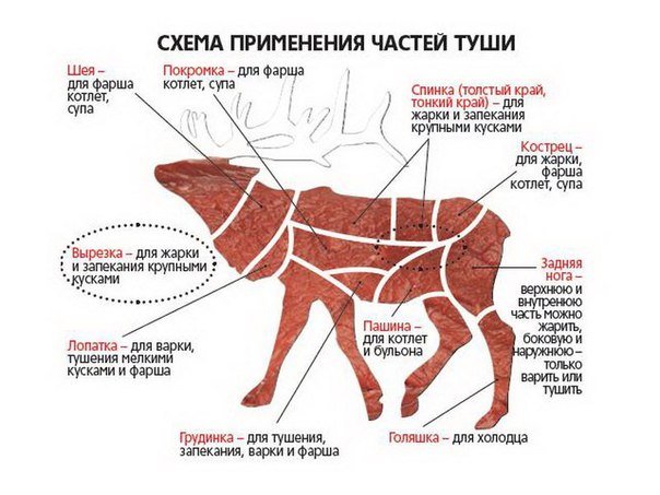 Разделка лося