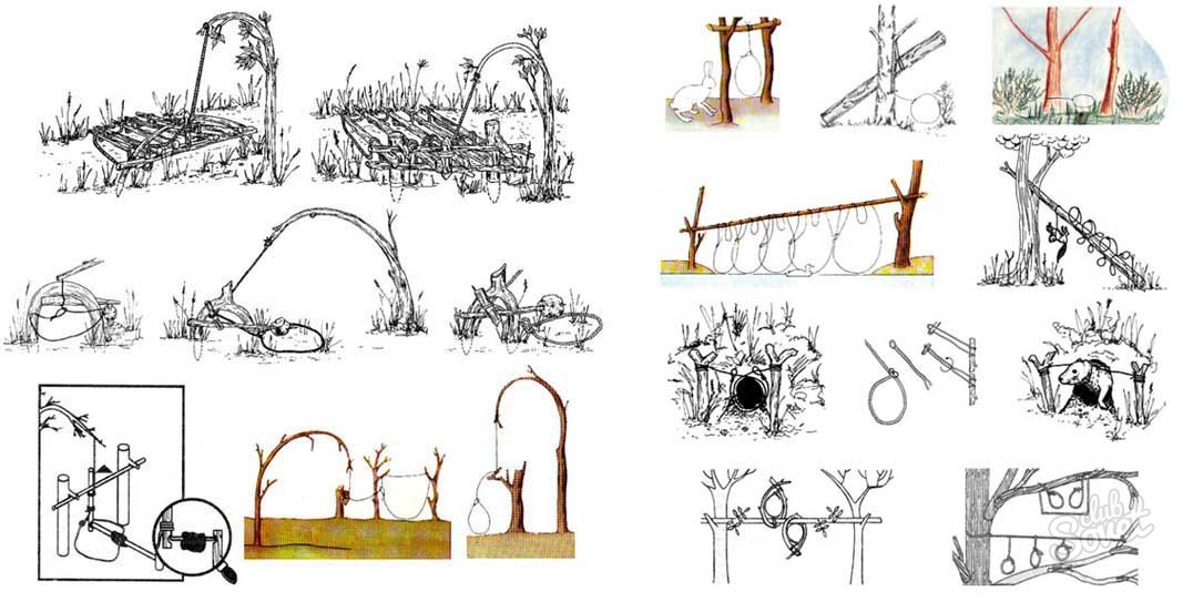 Чем хороши ловушки для охоты