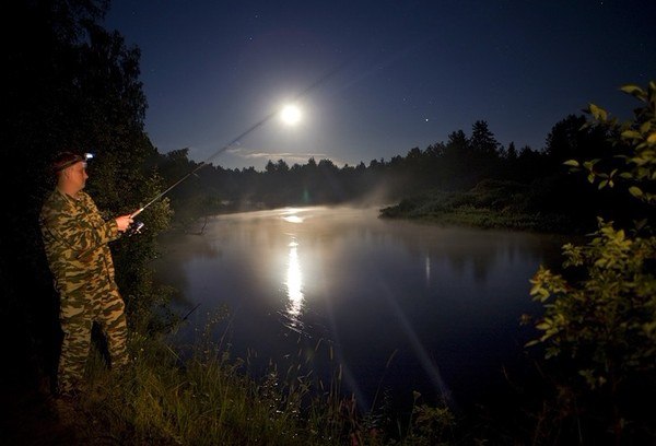 Экипировка для ночной рыбалки