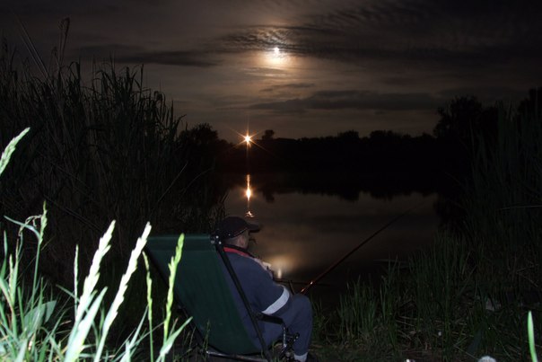 Выбираем поплавок для ночной рыбалки