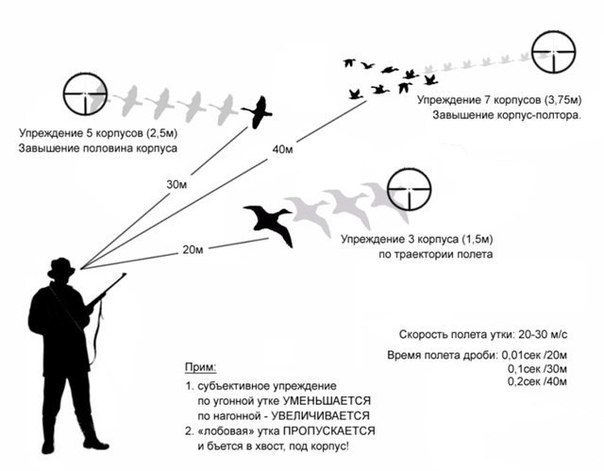 Как правильно вести стрельбу по уткам